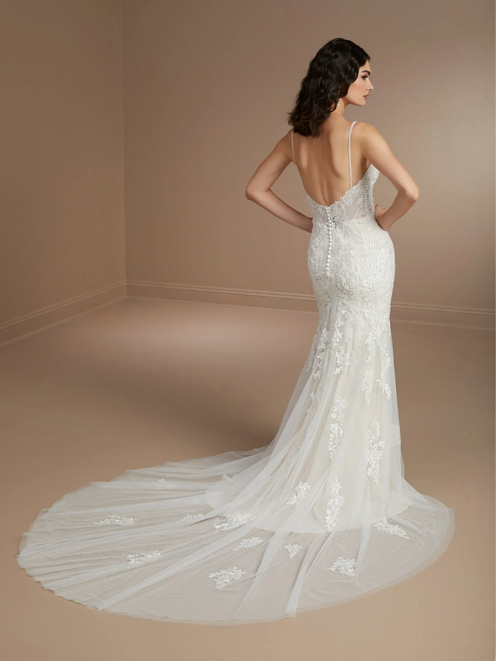 Beaded Fit & Flare Gown with Soft Tulle Skirt by Christina Wu
